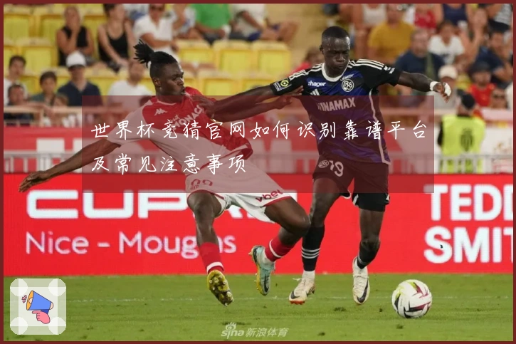 世界杯竞猜官网如何识别靠谱平台及常见注意事项