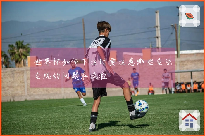 世界杯如何下注时要注意哪些合法合规的问题和流程