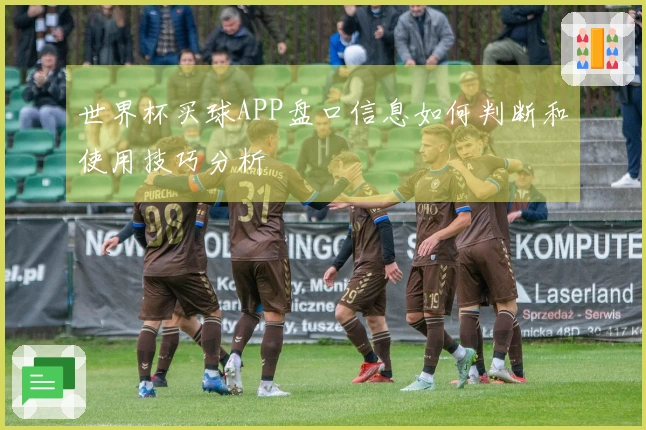 世界杯买球APP盘口信息如何判断和使用技巧分析