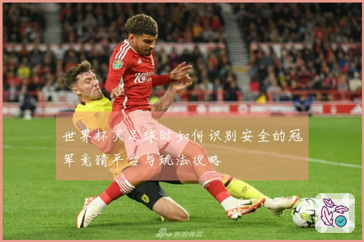 世界杯买足球时如何识别安全的冠军竞猜平台与玩法攻略