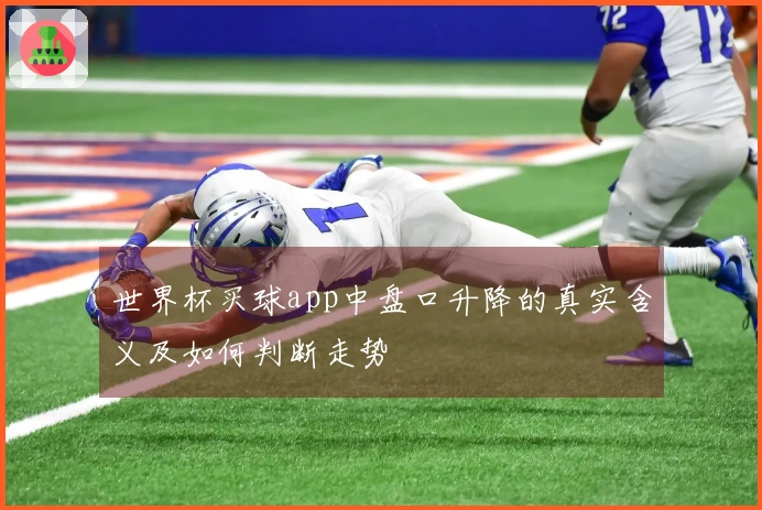 世界杯买球app中盘口升降的真实含义及如何判断走势