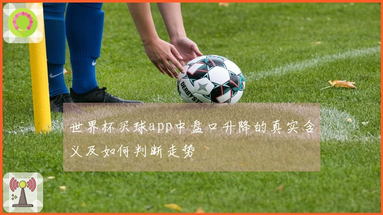 世界杯买球app中盘口升降的真实含义及如何判断走势